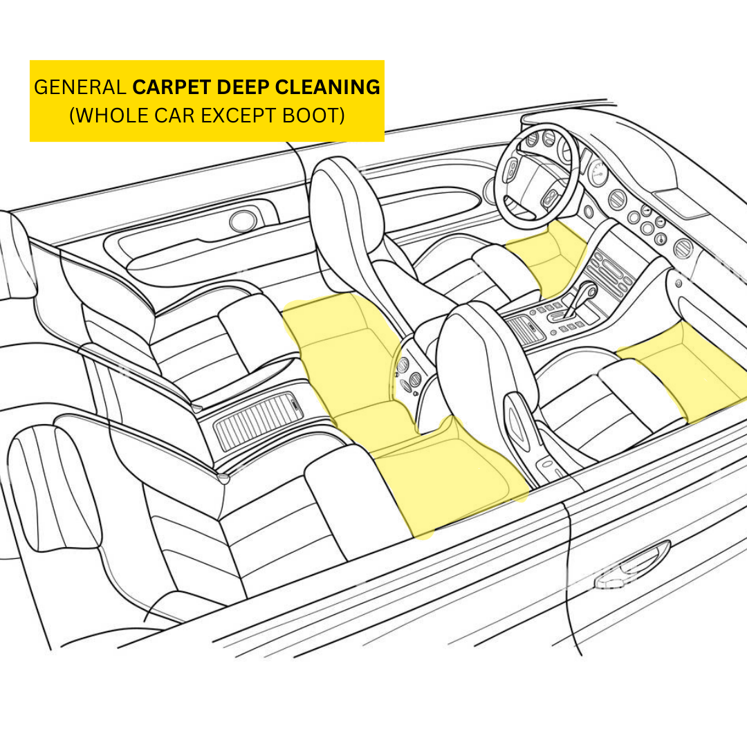 Car Carpet Cleaning Extraction - Wash Collective Singapore