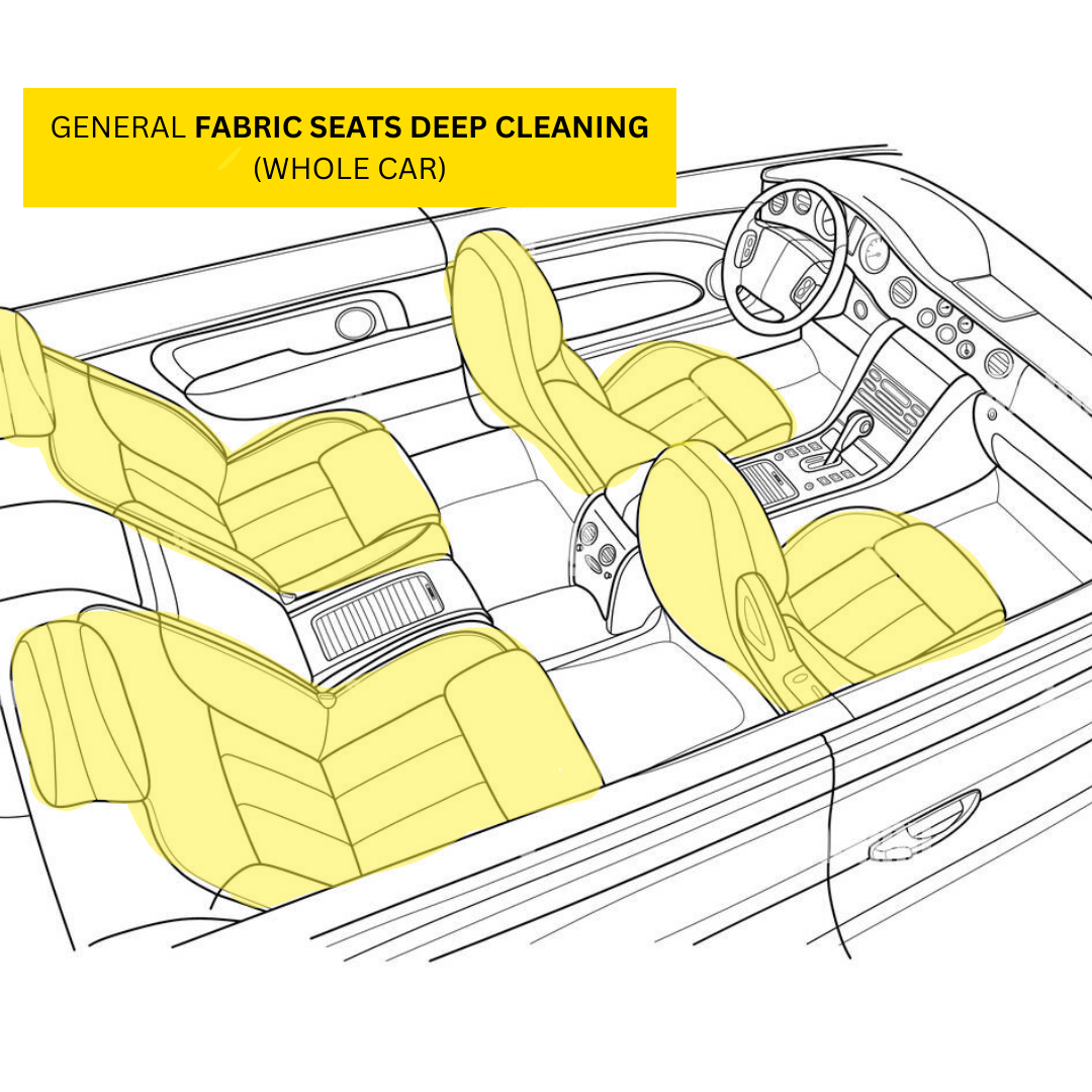 Car Carpet Cleaning Extraction - Wash Collective Singapore