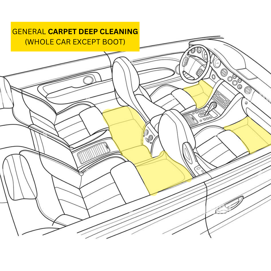 Carpet / Fabric Seats Deep Cleaning