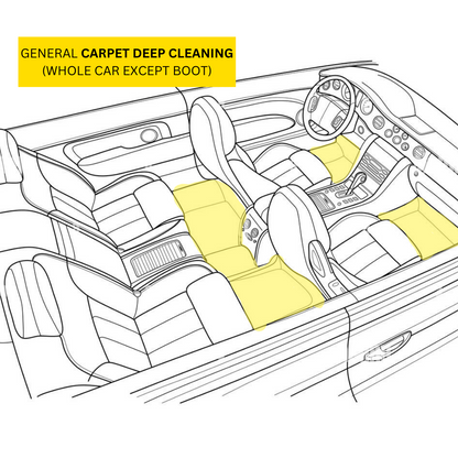 Carpet / Fabric Seats Deep Cleaning