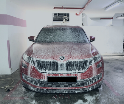 Interior & Exterior Car Grooming