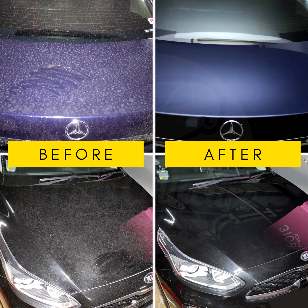 Car Fumigation - 7 Days Warranty